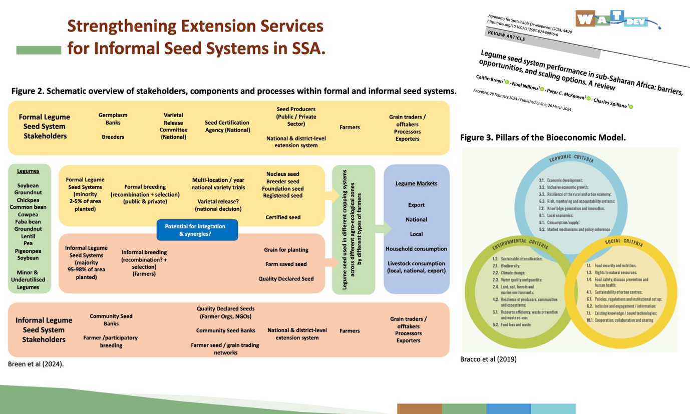 Angharad presented a LEG4DEV Seed Systems study to explore the role of information services in scaling smallholder, legume-based agroecology for sustainable bioeconomic development in Africa. Credit: ©LEG4DEV | Angharad Johnston.